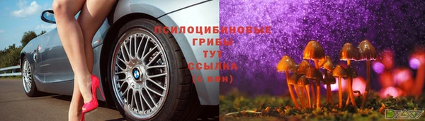 гидропоника Белокуриха