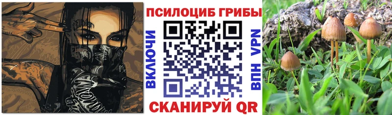 Псилоцибиновые грибы мицелий  закладка  Енисейск 